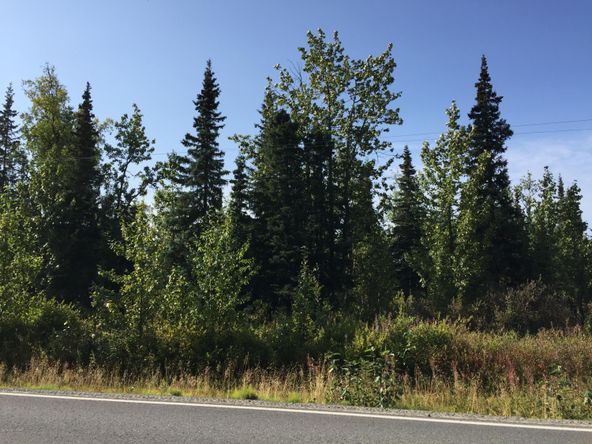 63747 Oil Well Rd, Ninilchik, AK 99639